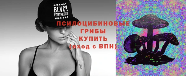 ПСИЛОЦИБИНОВЫЕ ГРИБЫ Волоколамск