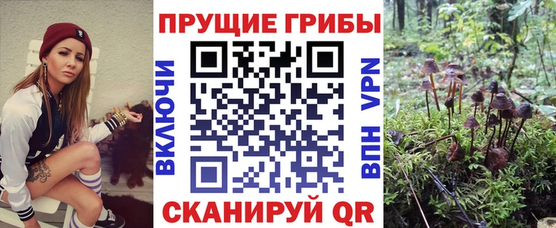 Псилоцибиновые грибы GOLDEN TEACHER  Купить закладки  Комсомольск 
